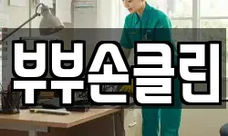 부부손클린