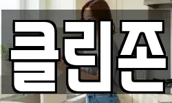 클린존
