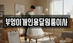 부엉이개인용달원룸이사