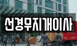 선경무지개이사