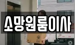 소망원룸이사