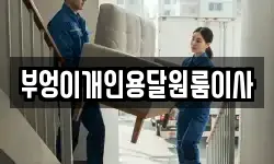 부엉이개인용달원룸이사