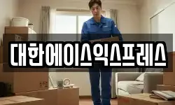 대한에이스익스프레스