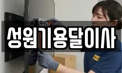 성원기용달이사