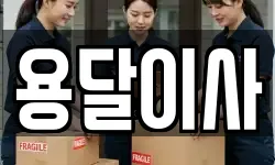 용달이사
