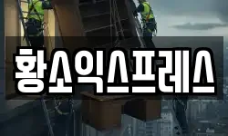 서울특별시 은평구 신사동 이사,용달이사,포장이사,원룸이사,보관이사