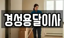 경성용달이사