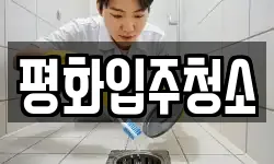평화입주청소