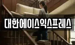대한에이스익스프레스