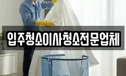 입주청소이사청소전문업체