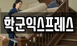 서울특별시 종로구 공평동 이사,용달이사,포장이사,원룸이사,보관이사