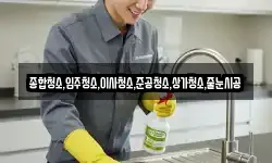 서울특별시 종로구 궁정동 청소,입주청소,사무실청소,에어컨청소