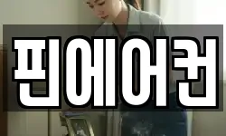 핀에어컨