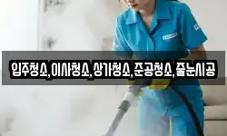 입주청소,이사청소,상가청소,준공청소,줄눈시공