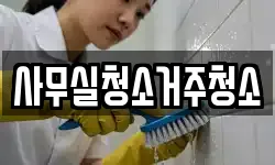 사무실청소거주청소