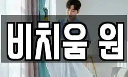 비치움 원
