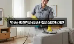 특수청소화재청소바닥청소공장청소사무실청소준공청소예초대행집
