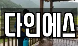 다인에스
