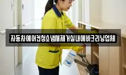 자동차에어컨청소냄새제거실내에바크리닝업체