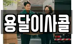 용달이사콜