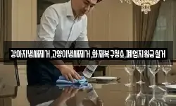 서울특별시 종로구 종로2가 청소,입주청소,사무실청소,에어컨청소
