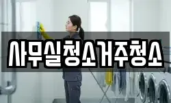 사무실청소거주청소
