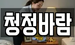 청정바람