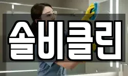 솔비클린