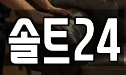 솔트24