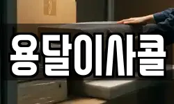 용달이사콜