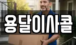 용달이사콜