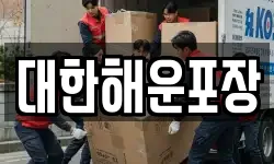 대한해운포장