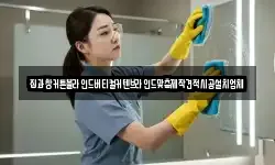 서울특별시 종로구 충신동 청소,입주청소,사무실청소,에어컨청소