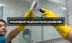 특수청소화재청소바닥청소공장청소사무실청소준공청소예초대행집