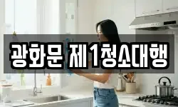 서울특별시 종로구 평동 청소,입주청소,사무실청소,에어컨청소
