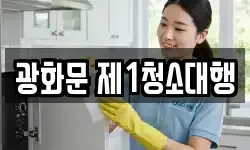 광화문 제1청소대행