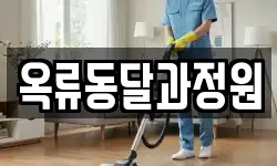 서울특별시 종로구 효자동 청소,입주청소,사무실청소,에어컨청소