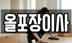올포장이사