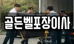 골든벨포장이사