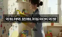 닥트청소,주방닥트,집진기청소,365일24시간후드닥트전문