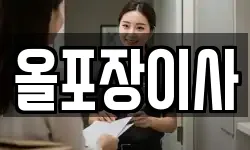 올포장이사
