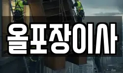 올포장이사