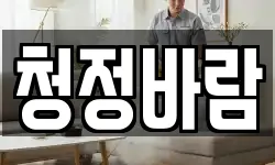 청정바람
