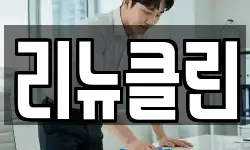 리뉴클린