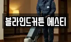 블라인드커튼 에스티