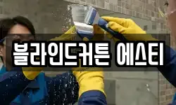 블라인드커튼 에스티