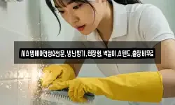 시스템에어컨청소전문,냉난방기,천장형,벽걸이,스텐드,출장비무료