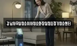 강남사무실청소이사청소화장실청소정기청소센터