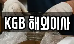 KGB 해외이사