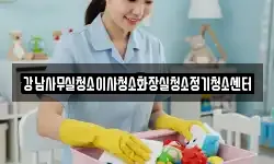 강남사무실청소이사청소화장실청소정기청소센터